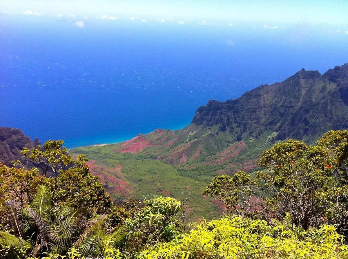 Ocean View, Beautiful Sunrise, Private Pool, Walk To Beaches Koloa Holiday home